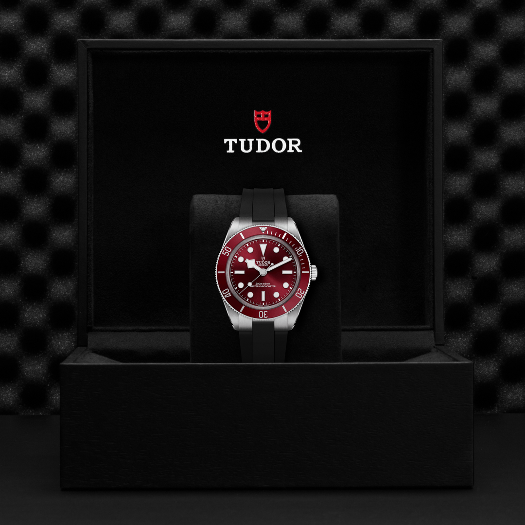TUDOR Black Bay 58