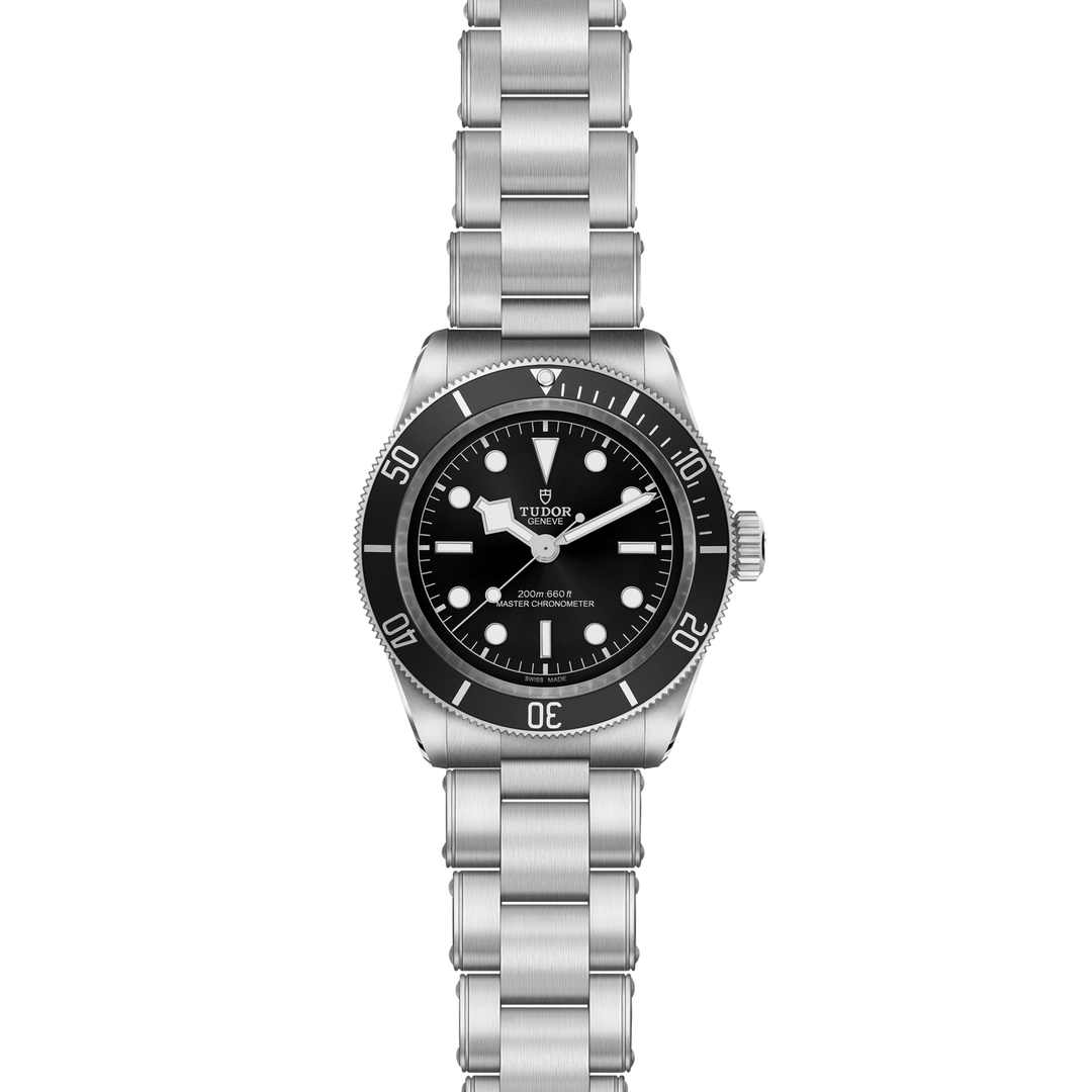 Tudor Black Bay