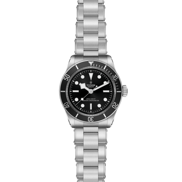 Tudor Black Bay
