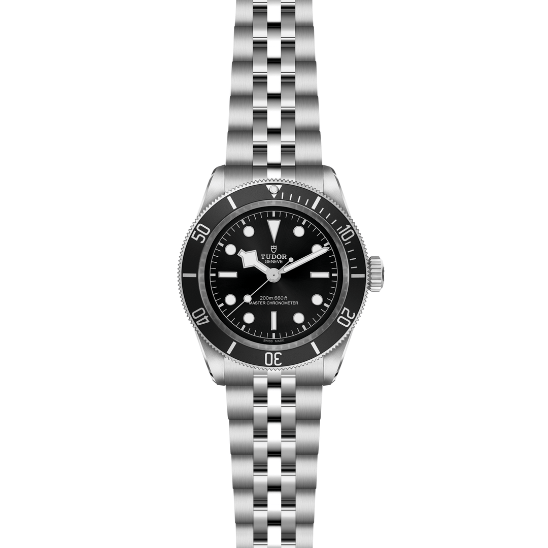 Tudor Black Bay