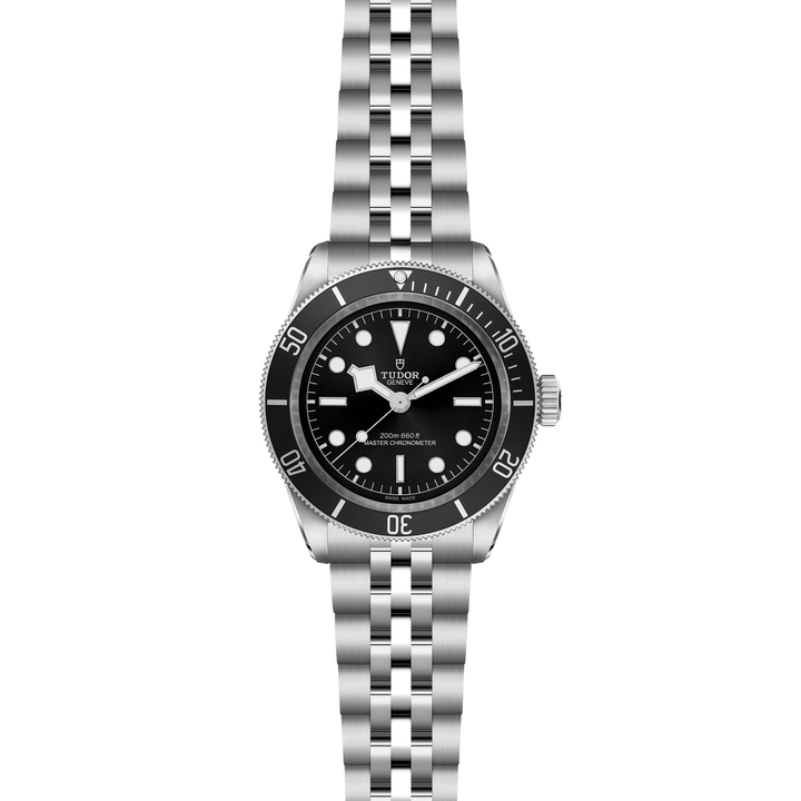 Tudor Black Bay