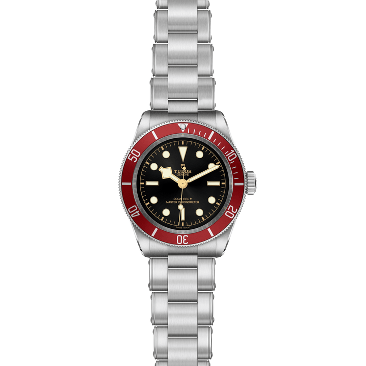 TUDOR Black Bay