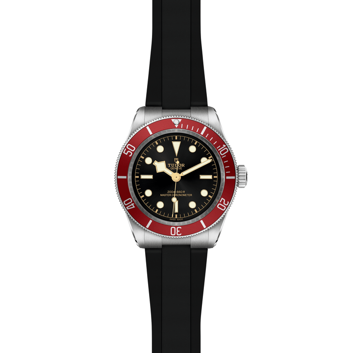 TUDOR Black Bay