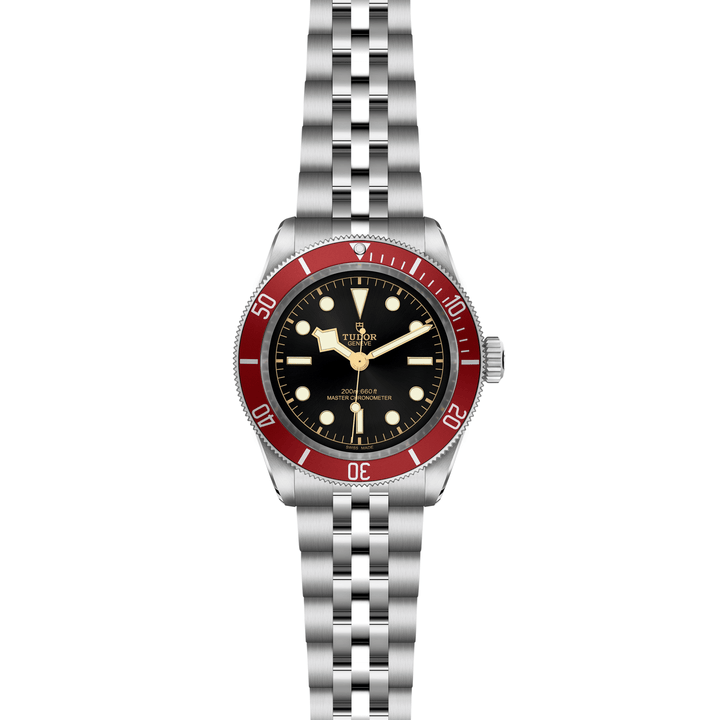 TUDOR Black Bay