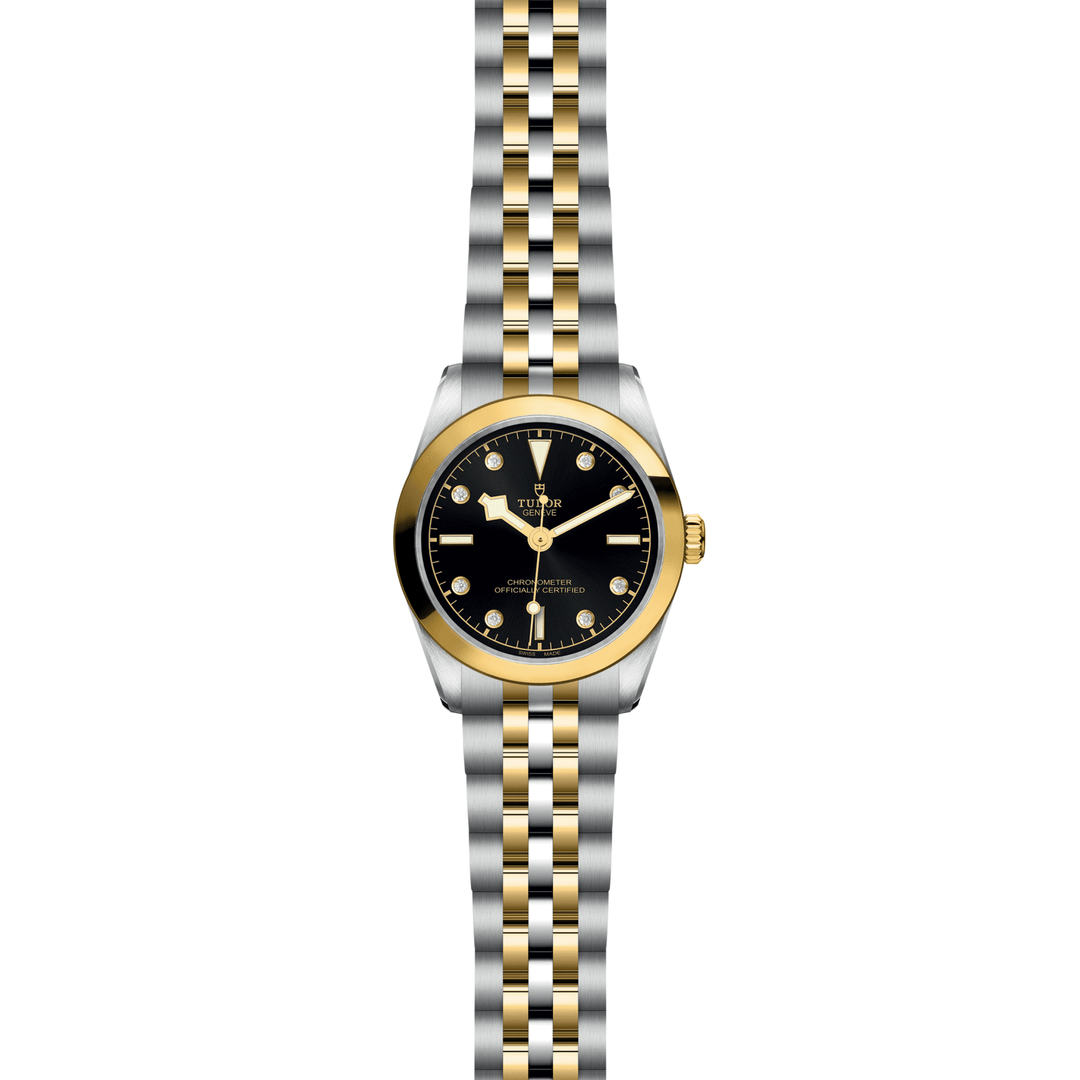 TUDOR Black Bay One 31 S&G