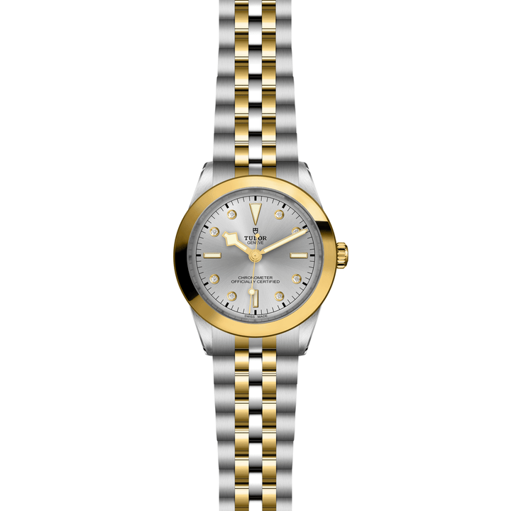 TUDOR Black Bay One 39 S&G