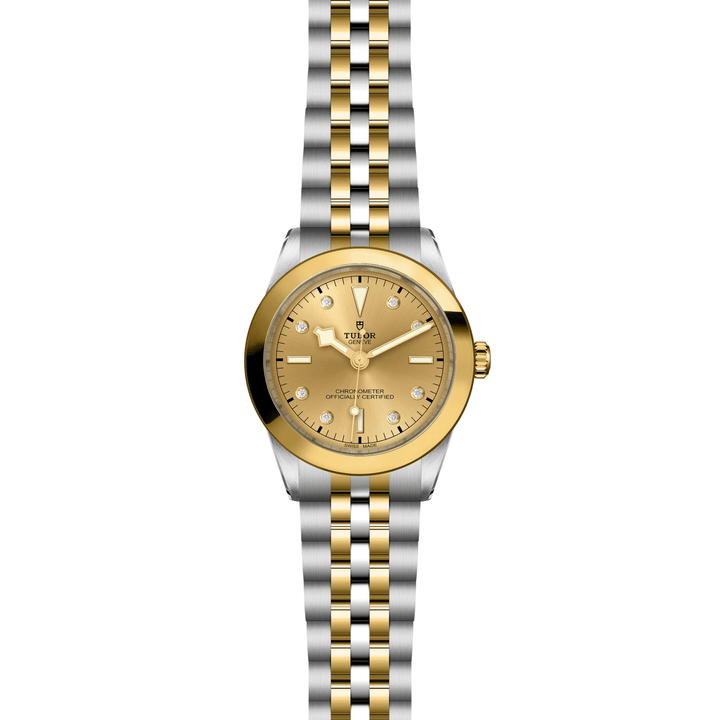TUDOR Black Bay One 39 S&G