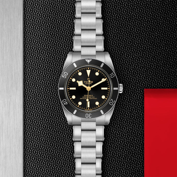 TUDOR Black Bay 54