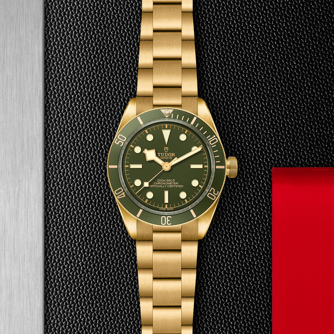 Tudor Black Bay 58 18ct