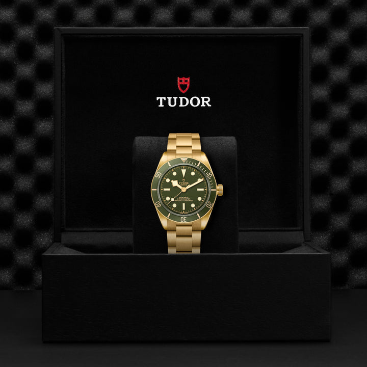 Tudor Black Bay 58 18ct