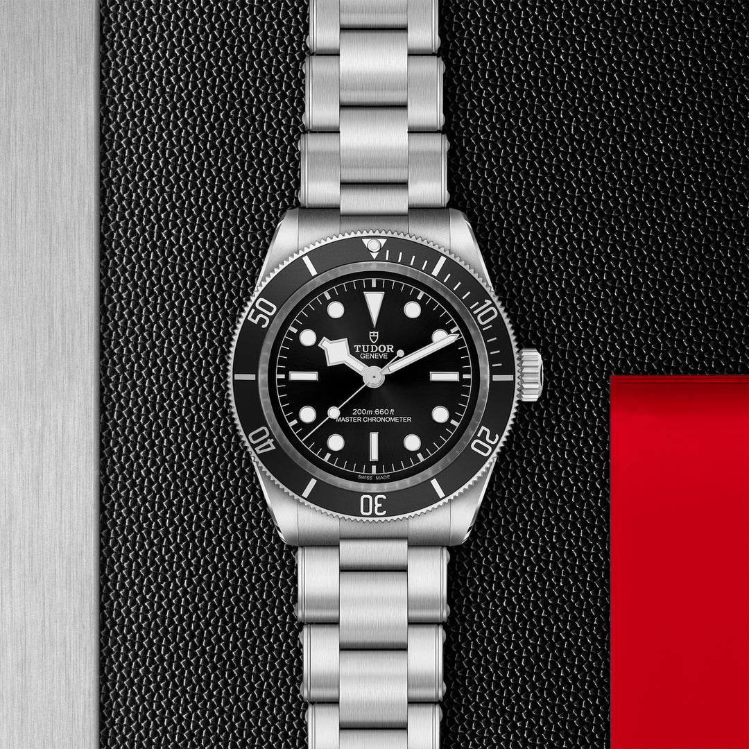 Tudor Black Bay