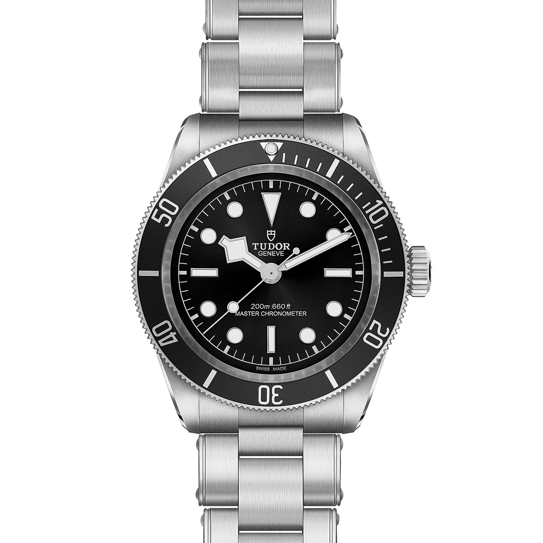 Tudor Black Bay