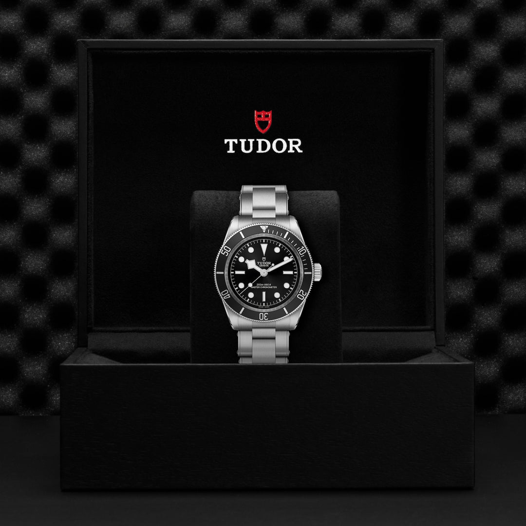 Tudor Black Bay