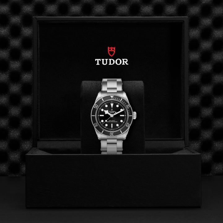 Tudor Black Bay