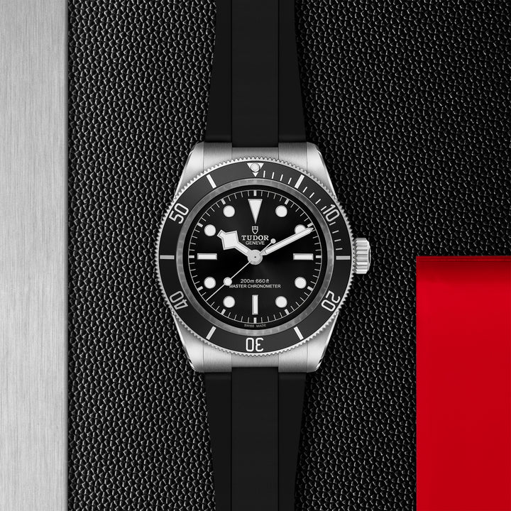 Tudor Black Bay