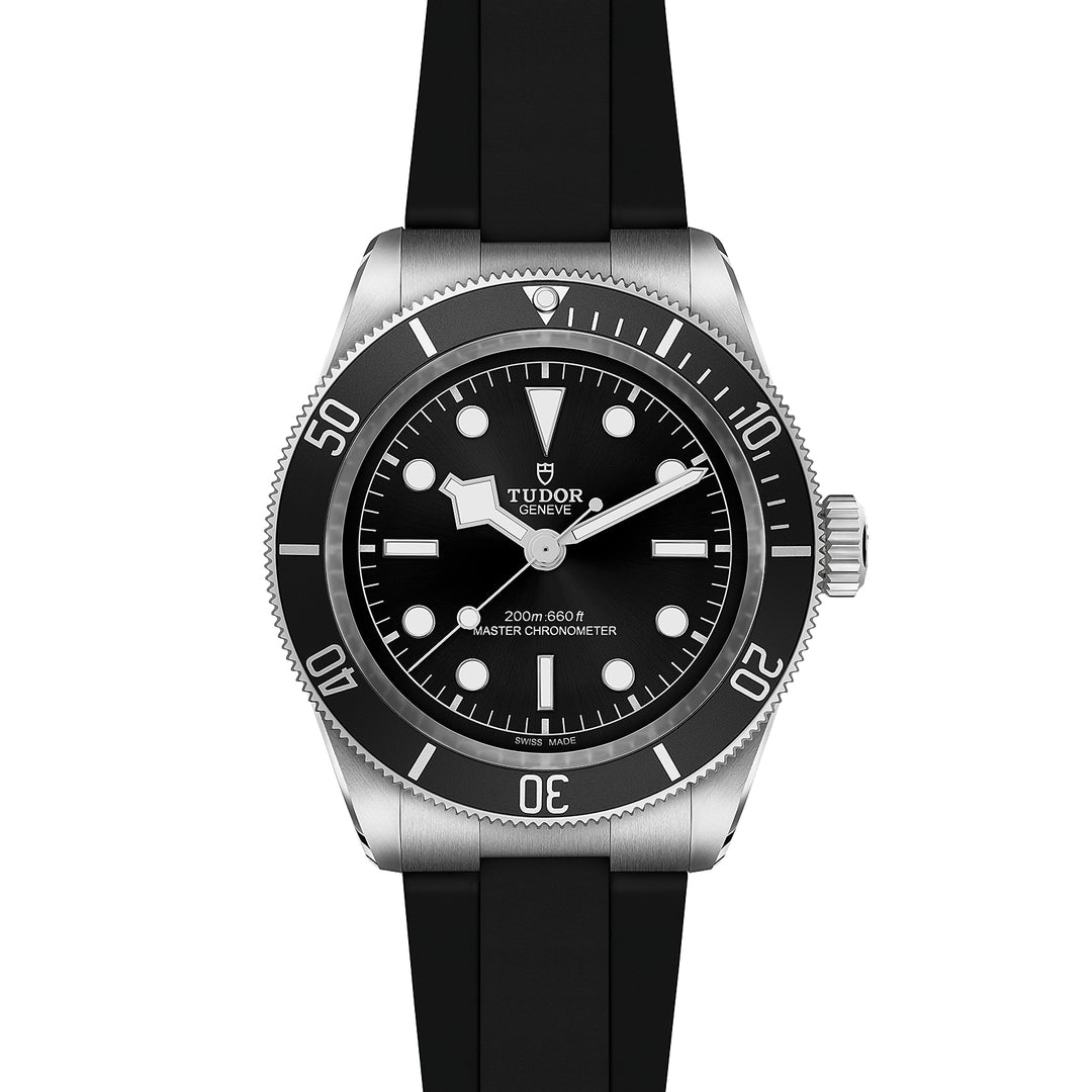 Tudor Black Bay