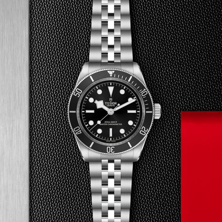 Tudor Black Bay