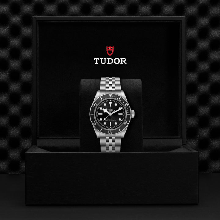 Tudor Black Bay