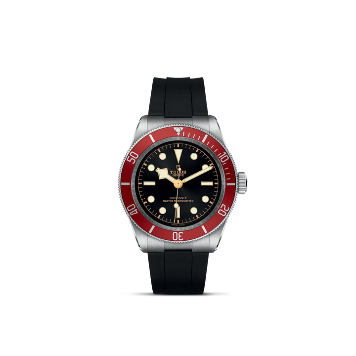 TUDOR Black Bay